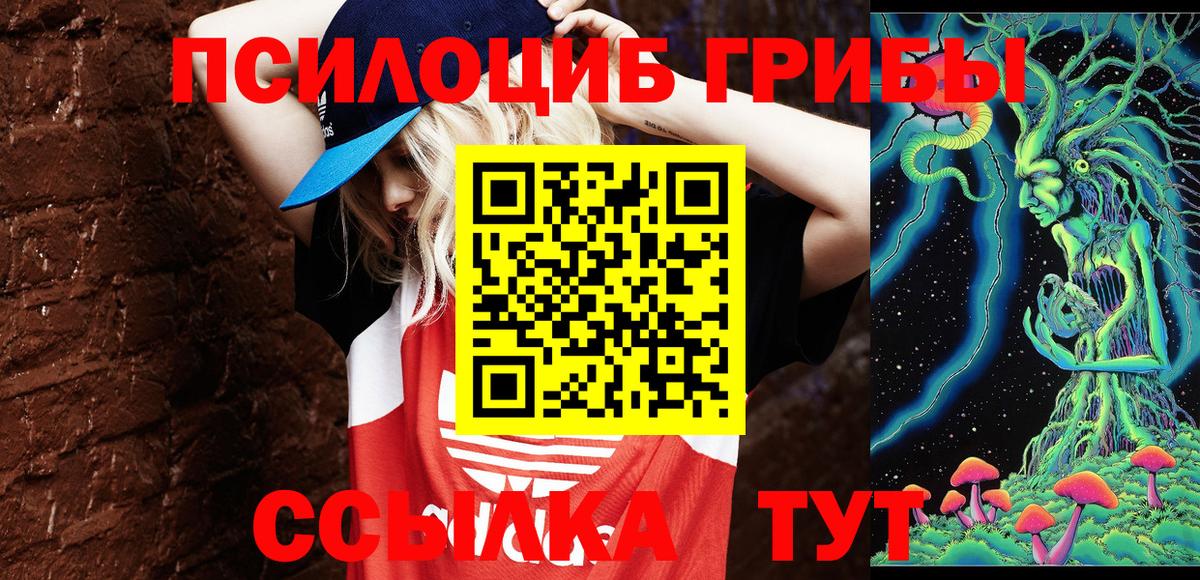 Нижнекамск  Псилоцибиновые грибы мицелий  магазин продажи   Вход с VPN 